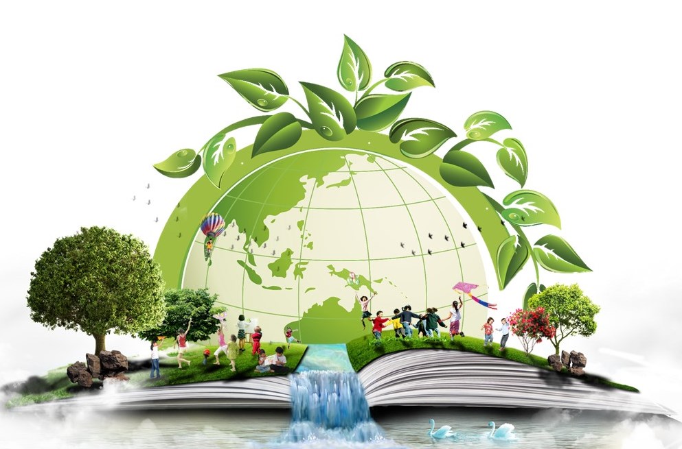 «Экология и молодежь: роль библиотек в формировании экологической культуры»